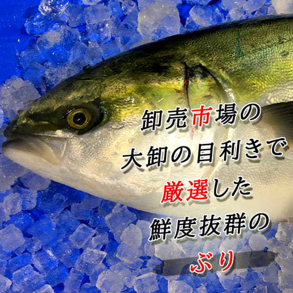 s@I@{B@Ԃ@܂邲ƂPC