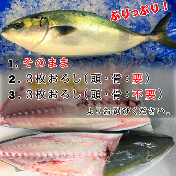 s@I@{B@Ԃ@܂邲ƂPC