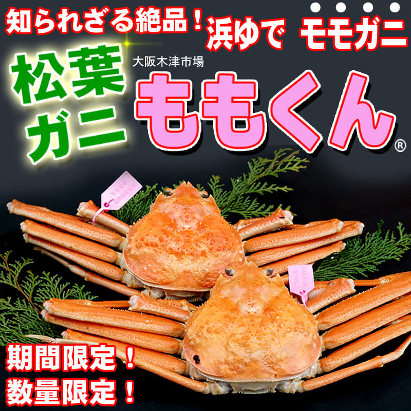 木津市場 解禁!!絶対のおすすめ 浜ゆで ももくん(松葉がに)