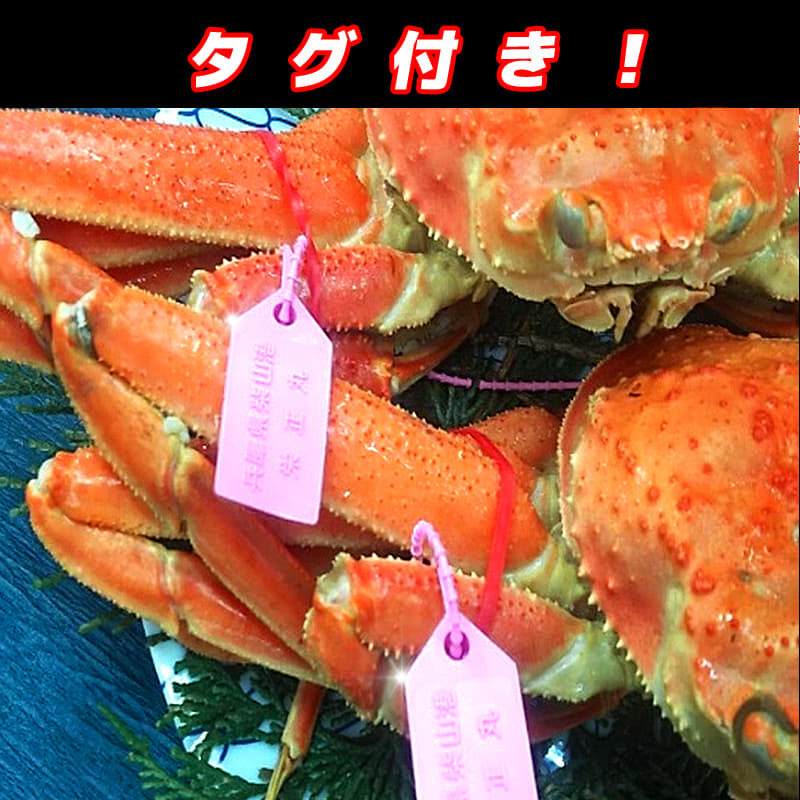 木津市場 解禁!!絶対のおすすめ 浜ゆで ももくん(松葉がに)