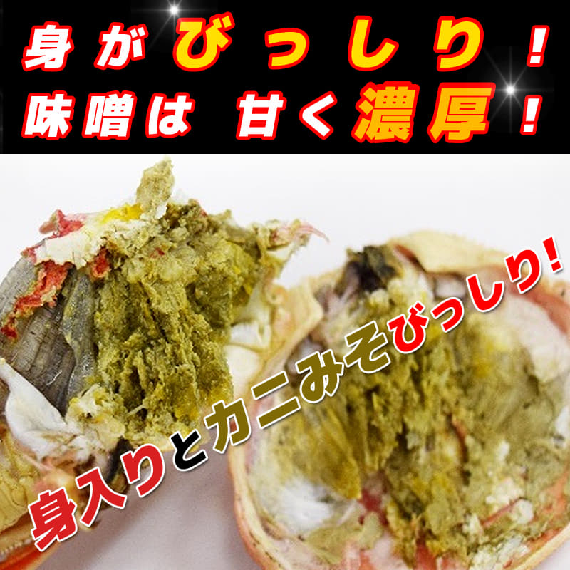 木津市場 解禁!!絶対のおすすめ 浜ゆで ももくん(松葉がに)