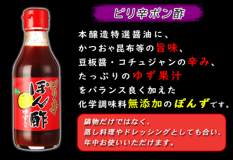 木津市場 プロが厳選!! 醤油・だし 4点セット