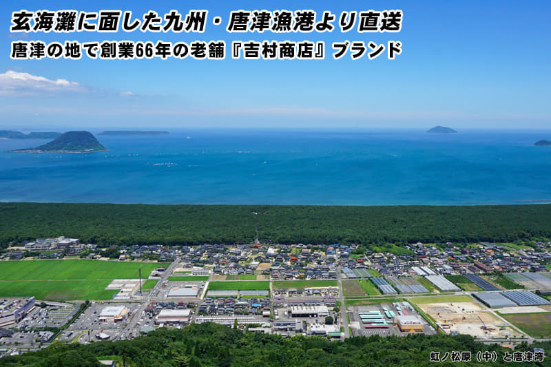 天日干しあじ開き一汐 8袋セット