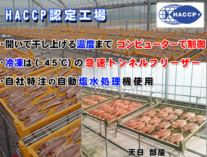 天日干しあじ開き一汐 8袋セット